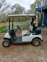 Load image into Gallery viewer, 2022 Petrol EZGO Golf Cart (Delivery not included)