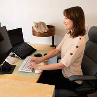 Load image into Gallery viewer, Desk Nest Cat Bed - The Purrfect Cat Bed for Your Desk